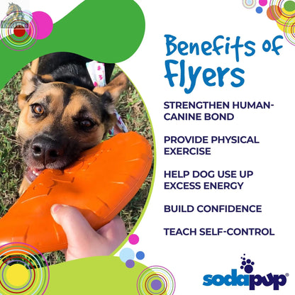 Bottle Top Flyer Rubber Frisbee for Dogs | Orange | Vet Approved | USA Made SodaPup/True Dogs, LLC
