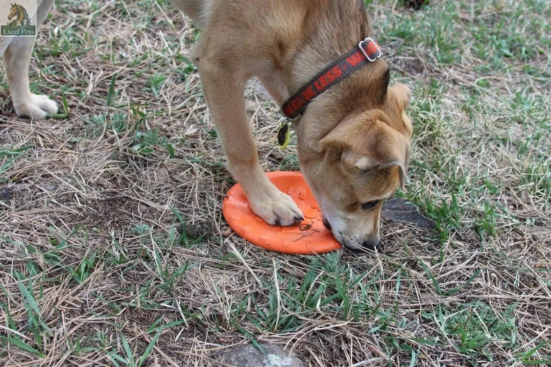 Bottle Top Flyer Rubber Frisbee for Dogs | Orange | Vet Approved | USA Made SodaPup/True Dogs, LLC