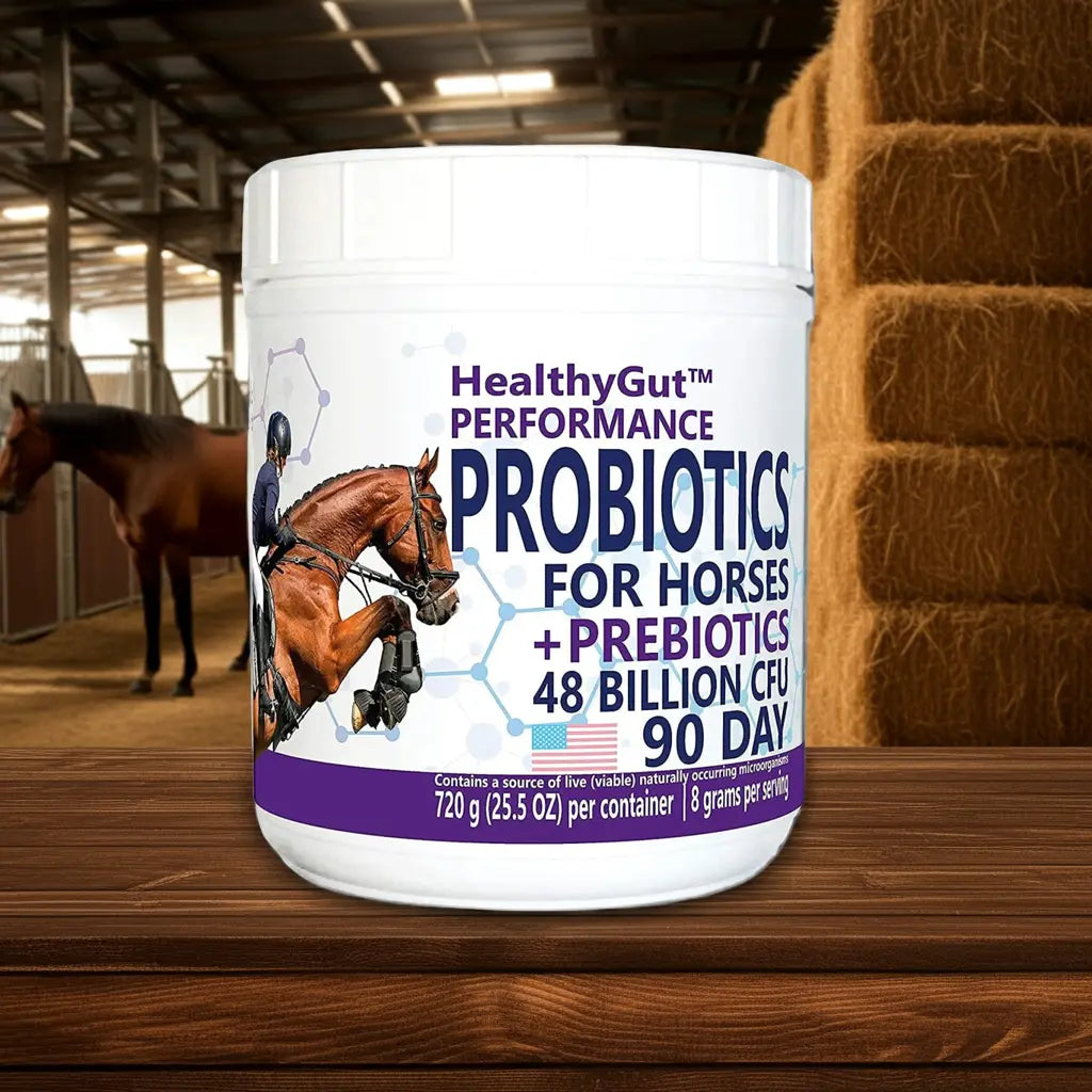 Boost Your Horse's Digestive Health Naturally with Healthygut™ Probiotics - 90-Day Supply! 🐴🌿 Equa Holistics LLC.