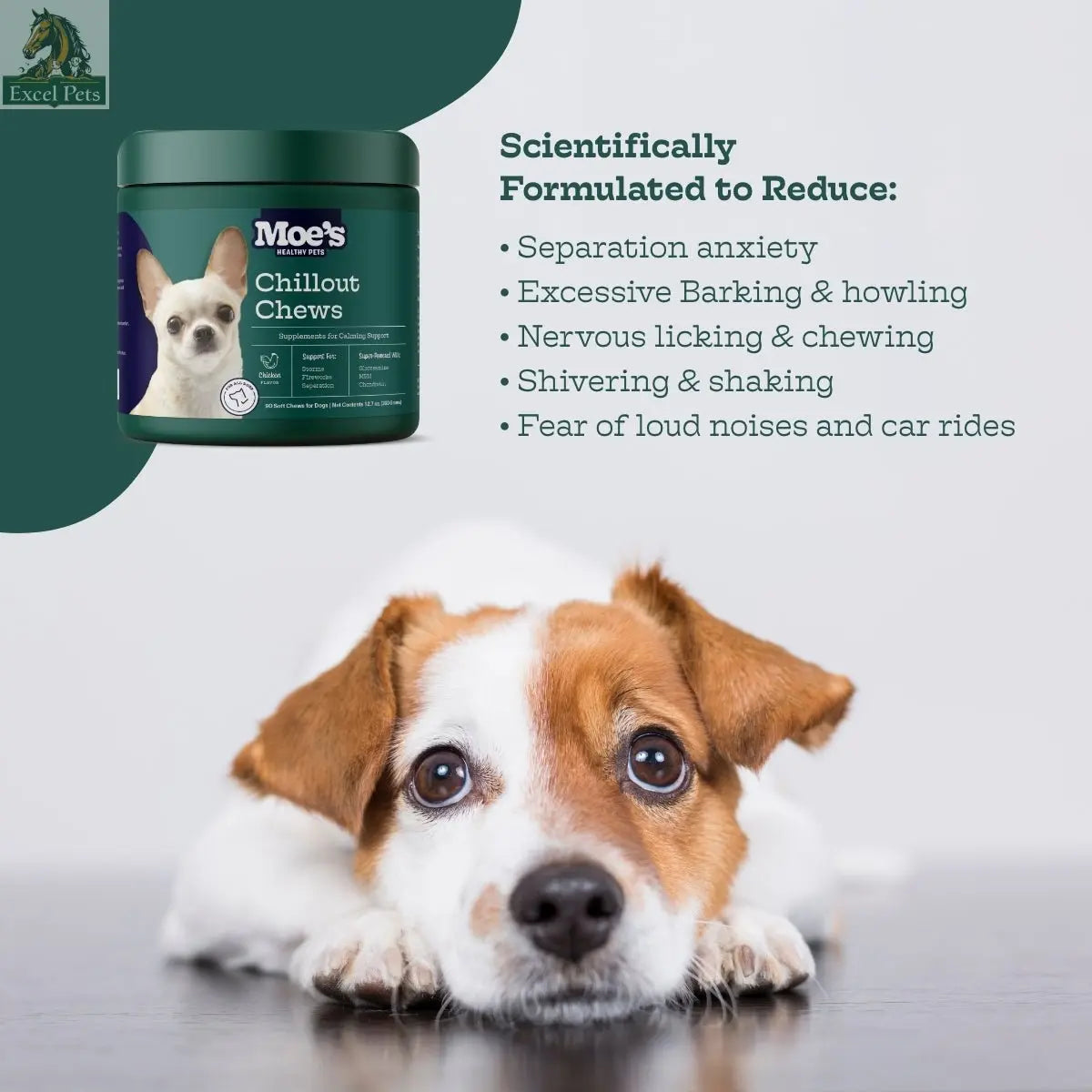 Chillout Chews Moe's Healthy Pets