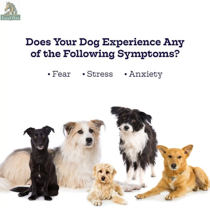 Chillout Chews Moe's Healthy Pets