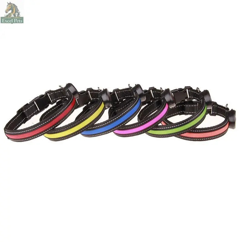 Glowing Dog Collar - Excel Pets