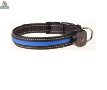 Glowing Dog Collar - Excel Pets