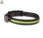 Glowing Dog Collar - Excel Pets