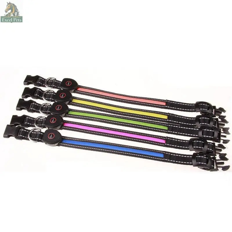 Glowing Dog Collar - Excel Pets