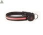 Glowing Dog Collar - Excel Pets