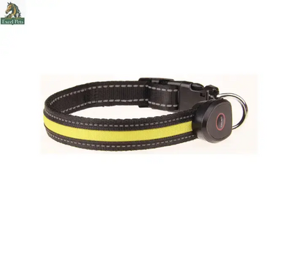 Glowing Dog Collar - Excel Pets