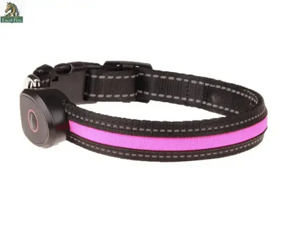 Glowing Dog Collar - Excel Pets