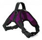 Excel Pets Reflective Dog Harness For Medium Dogs Soft Breathable Comfortable Secure Fit With Nighttime Visibility - Animals & Pet Supplies > Pet Supplies > Pet Collars & Harnesses > Harnesses Dog