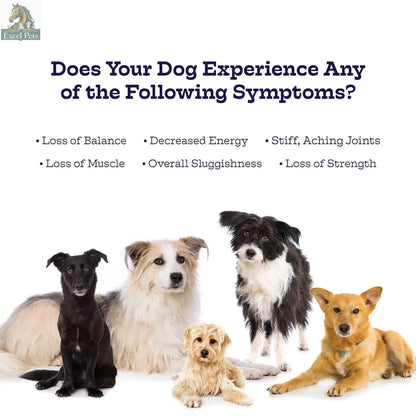Hip & Joint Chews Moe's Healthy Pets