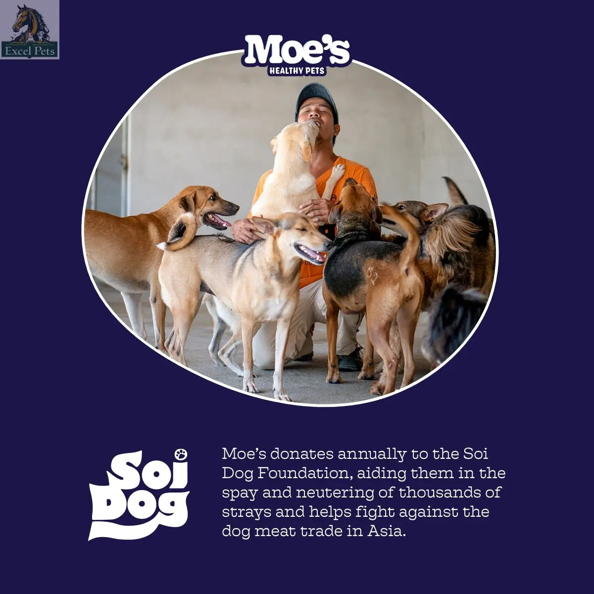 Hip & Joint Chews Moe's Healthy Pets