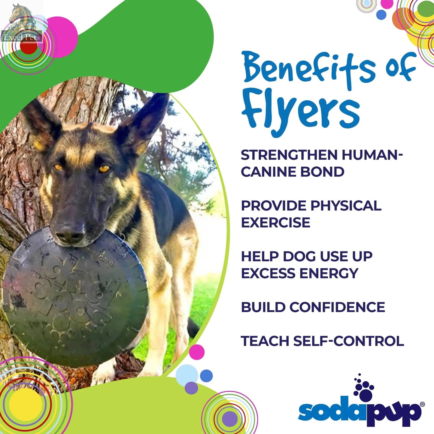 Magnum Bottle Top Flyer Rubber Frisbee for Heavy Chewers | Large | USA Made SodaPup/True Dogs, LLC