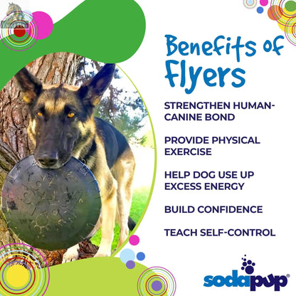Magnum Bottle Top Flyer Rubber Frisbee for Heavy Chewers | Large | USA Made SodaPup/True Dogs, LLC