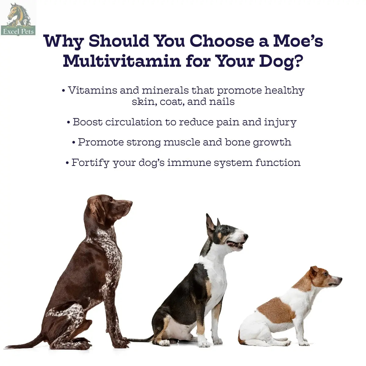 Multi-Plus Chews Moe's Healthy Pets