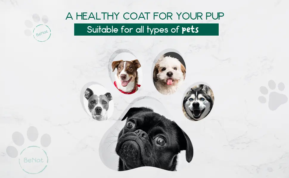 BeNat Pets. All-Natural Pet Shampoo Bar. Oat. 5.8 oz. BeNat