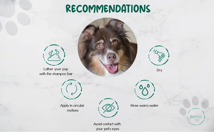 BeNat BeNat Pets All Natural Oat and Lavender Shampoo Bar for Pets 5.8 oz Gentle Cleanse Soothing Formula - Animals & Pet Supplies > Pet Supplies > Pet Grooming Supplies > Pet Shampoo & Conditioner > Shampoos Pet Shampoo & Conditioner