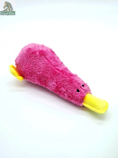 Platz the Platypus-2