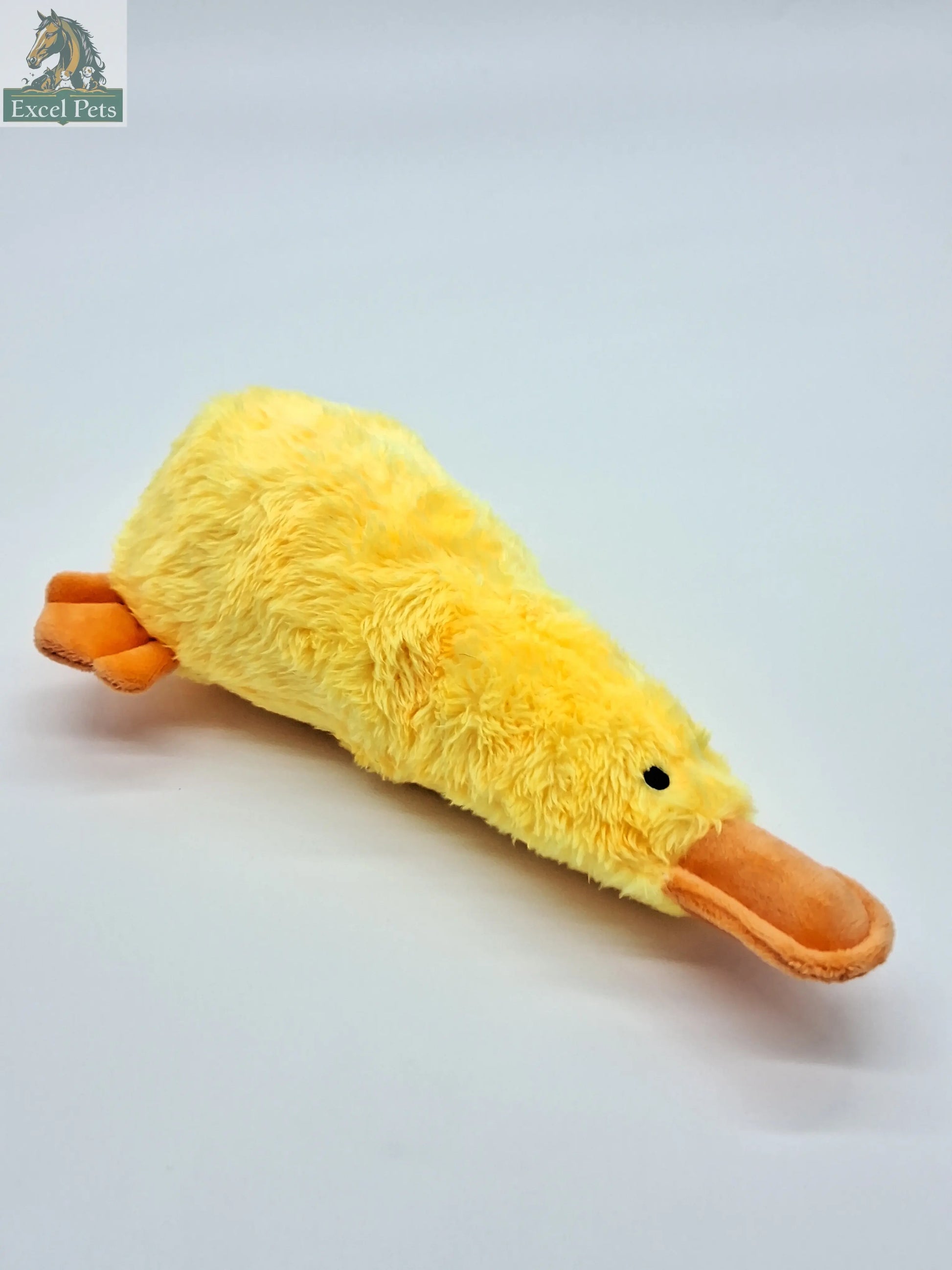 Platz the Platypus-5