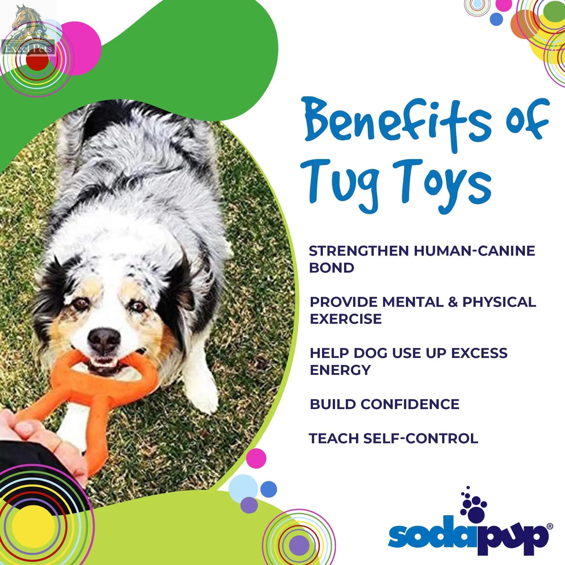 Pop Top Rubber Tug Toy for Interactive Play | Heavy Chewers | USA Made | SodaPup SodaPup/True Dogs, LLC