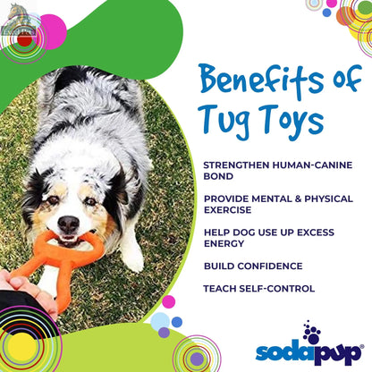 Pop Top Rubber Tug Toy for Interactive Play | Heavy Chewers | USA Made | SodaPup SodaPup/True Dogs, LLC