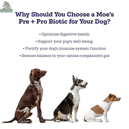 Pre + Pro Biotic Chews Moe's Healthy Pets
