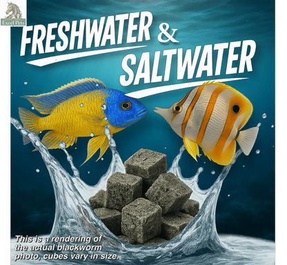 Premium Freeze Dried Blackworms - All Natural Super Cichlids