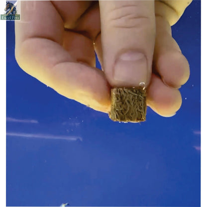 Premium Freeze Dried Blackworms - All Natural Super Cichlids