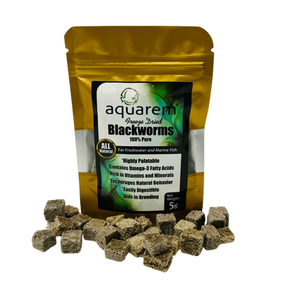 Premium Freeze Dried Blackworms - All Natural Super Cichlids