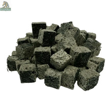 Premium Freeze Dried Blackworms - Spirulina Boost Super Cichlids