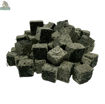 Premium Freeze Dried Blackworms - Spirulina Boost Super Cichlids