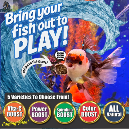 Premium Freeze Dried Blackworms - Spirulina Boost Super Cichlids