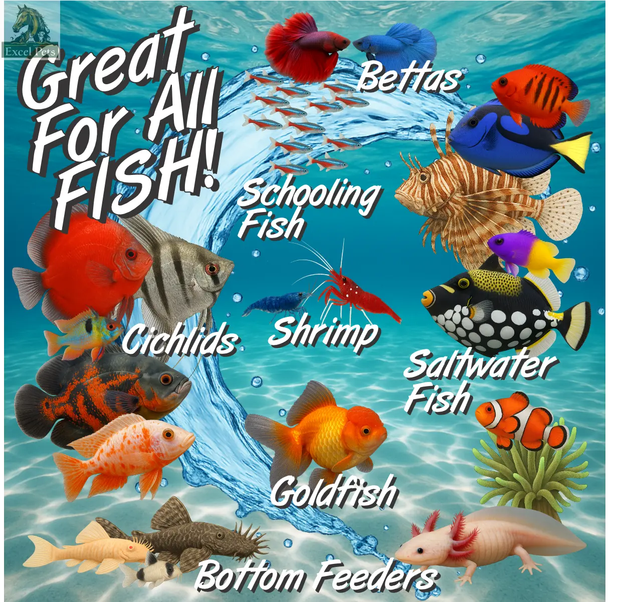 Premium Freeze Dried Blackworms - Spirulina Boost Super Cichlids