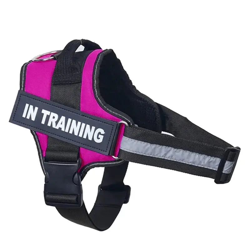 Personalized Reflective and Adjustable Dog Harness Excel Pets