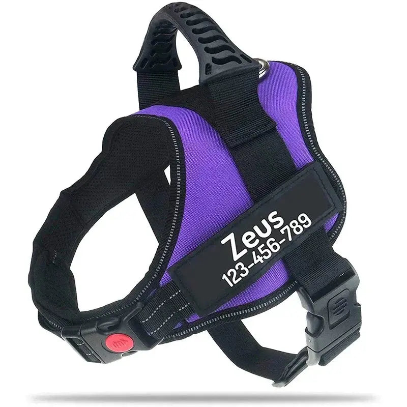 Excel Pets Nylon Adjustable Custom ID Dog Harness No Pull For Easy Control Safe Training With Adjustable Chest Size XS To XXL - Animals & Pet Supplies > Pet Supplies > Pet Collars & Harnesses Dog