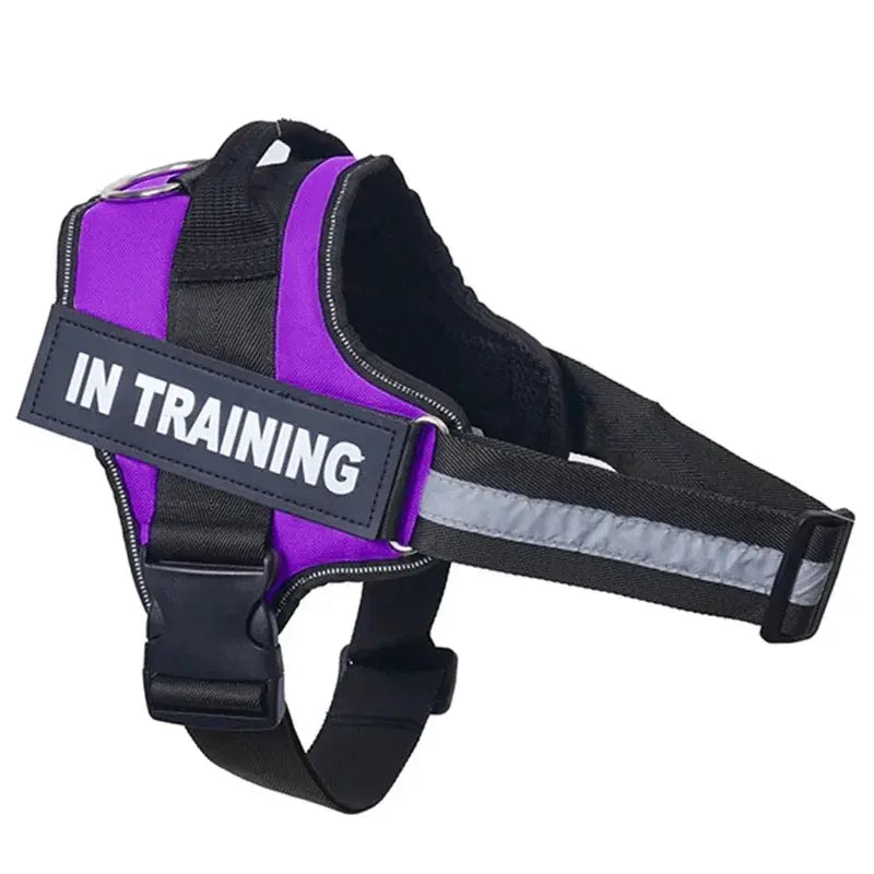 Personalized Reflective and Adjustable Dog Harness Excel Pets
