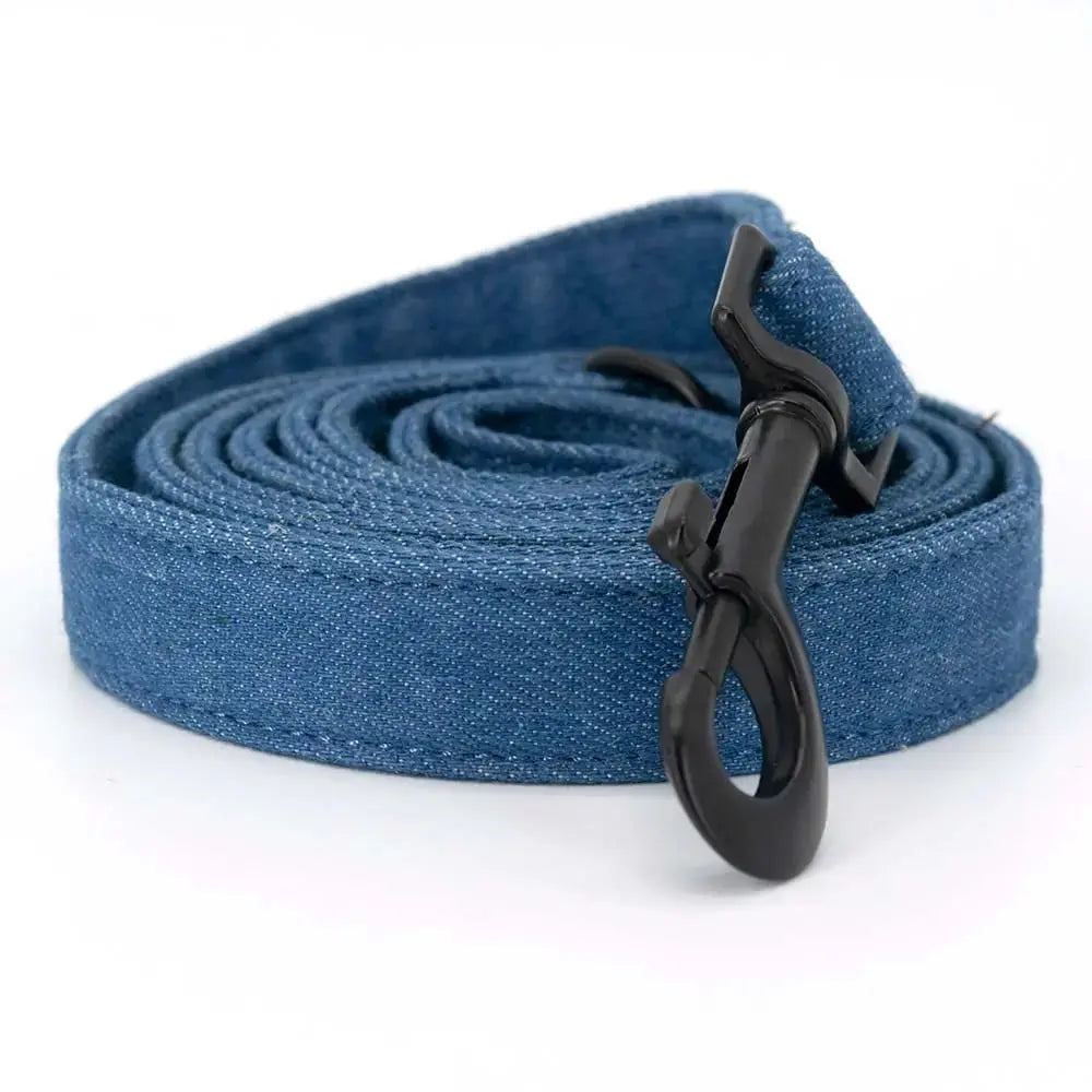 Collarlogo Adjustable Dog Harness and Leash Set Excel Pets