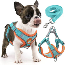 Excel Pets Step-In Dog Harness And Leash Set For Small To Medium Dogs, Comfortable No-Pull Design With Easy Step In - Animals & Pet Supplies > Pet Supplies > Pet Collars & Harnesses > Harnesses Dog