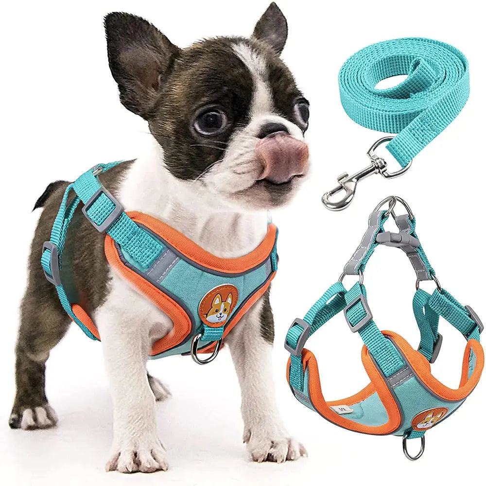 Excel Pets Step-In Dog Harness And Leash Set For Small To Medium Dogs, Comfortable No-Pull Design With Easy Step In - Animals & Pet Supplies > Pet Supplies > Pet Collars & Harnesses > Harnesses Dog