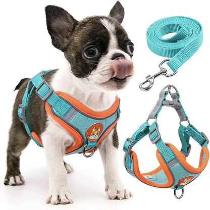 Excel Pets Step-In Dog Harness And Leash Set For Small To Medium Dogs, Comfortable No-Pull Design With Easy Step In - Animals & Pet Supplies > Pet Supplies > Pet Collars & Harnesses > Harnesses Dog