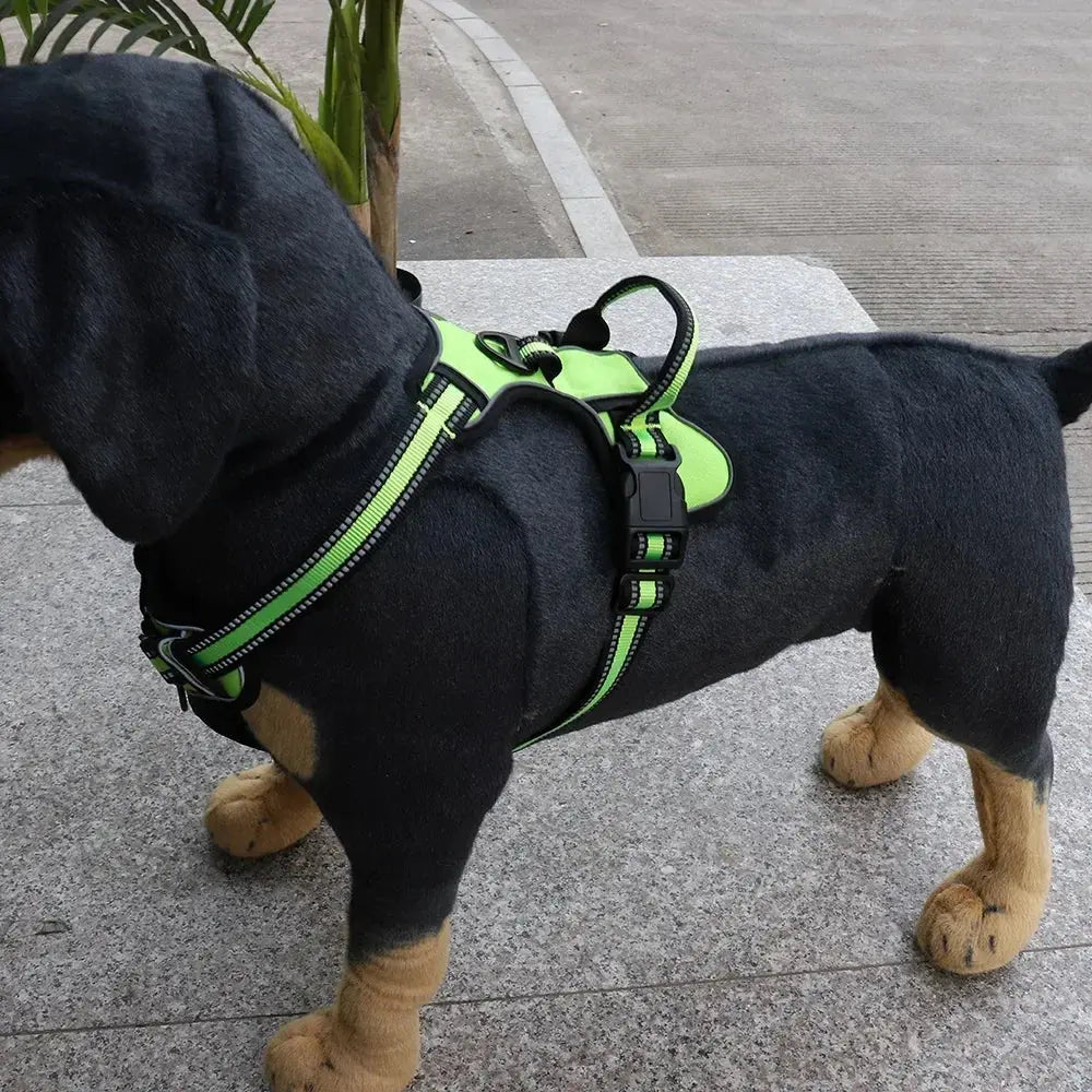 Nylon Adjustable Dog Harness Excel Pets