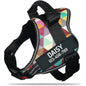 Excel Pets Nylon Adjustable Custom ID Dog Harness No Pull For Easy Control Safe Training With Adjustable Chest Size XS To XXL - Animals & Pet Supplies > Pet Supplies > Pet Collars & Harnesses Dog