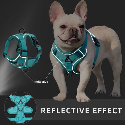 Excel Pets KOMMILIEF Adjustable Cat Harness For Comfortable Safe Walks With Leash Compatibility For Cats And Small To Medium Dogs - Animals & Pet Supplies > Pet Supplies > Pet Collars & Harnesses cat