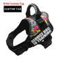 Excel Pets Adjustable Nylon Dog Harness For Comfort And Safety Easy Fit Reflective Straps No Pull Design - Animals & Pet Supplies > Pet Supplies > Pet Collars & Harnesses Dog
