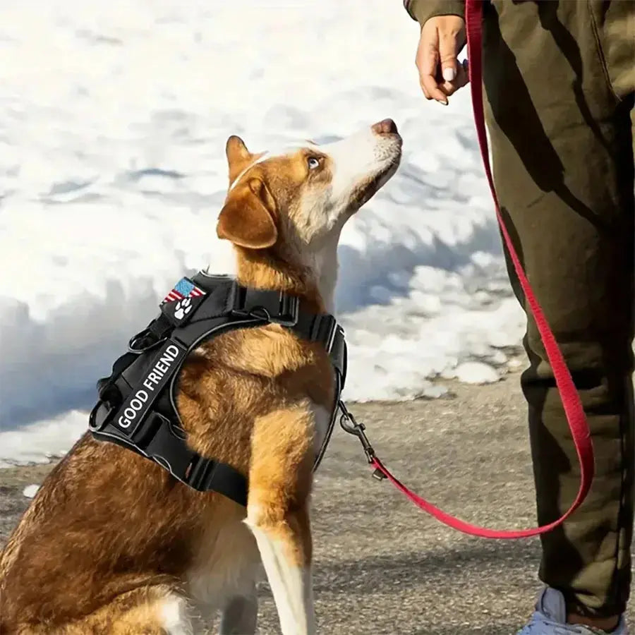 Reflective Dog Vest Harness With 5PCS Patches Excel Pets