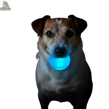 Strobe Ball Light-Up Dog Toy - Durable Floating Chew Ball | Made in USA SodaPup/True Dogs, LLC