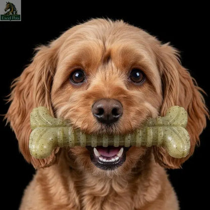 Tough Bone Nylon Chew Bone | Ultra-Durable Dog Toy for Aggressive Chewers | SodaPup SodaPup/True Dogs, LLC