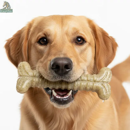 Tough Bone Nylon Chew Bone | Ultra-Durable Dog Toy for Aggressive Chewers | SodaPup SodaPup/True Dogs, LLC