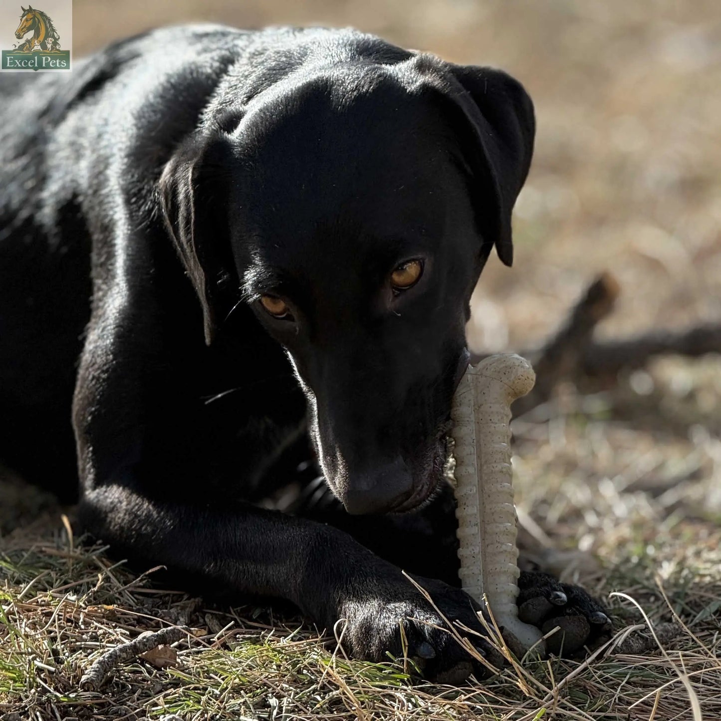 Tough Bone Nylon Chew Bone | Ultra-Durable Dog Toy for Aggressive Chewers | SodaPup SodaPup/True Dogs, LLC