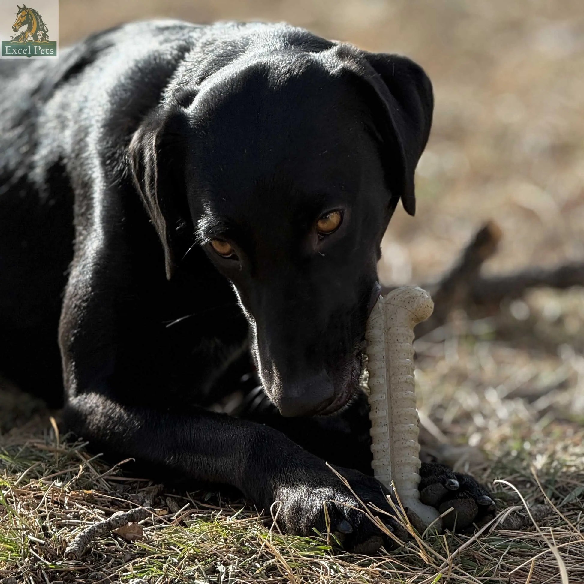 Tough Bone Nylon Chew Bone | Ultra-Durable Dog Toy for Aggressive Chewers | SodaPup SodaPup/True Dogs, LLC