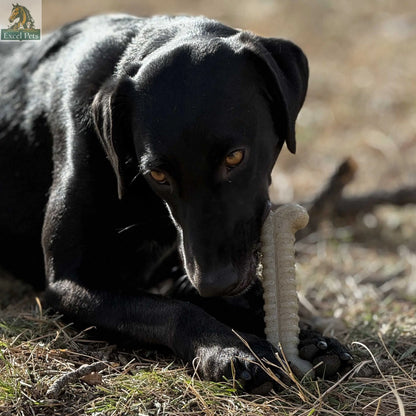 Tough Bone Nylon Chew Bone | Ultra-Durable Dog Toy for Aggressive Chewers | SodaPup SodaPup/True Dogs, LLC